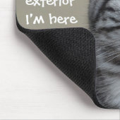 猫のおもしろいキャプションが家具を台無しにする マウスパッド (コーナー)