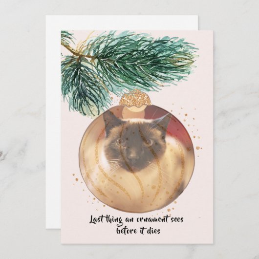 猫のおもしろいクリスマス最後のモノがカードを見る 招待状 (正面/裏面)