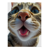 猫のおもしろいクローズアップ | 可愛おっちょこちょいのい猫芸術 ポスター (正面)