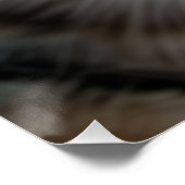 猫のおもしろいクローズアップ | 可愛おっちょこちょいのい猫芸術 ポスター (コーナー)