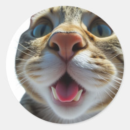 猫のおもしろいクローズアップ | 可愛おっちょこちょいのい猫芸術 ラウンドシール