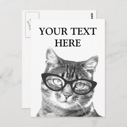 猫のおもしろい写真はがき ポストカード (正面/裏面)