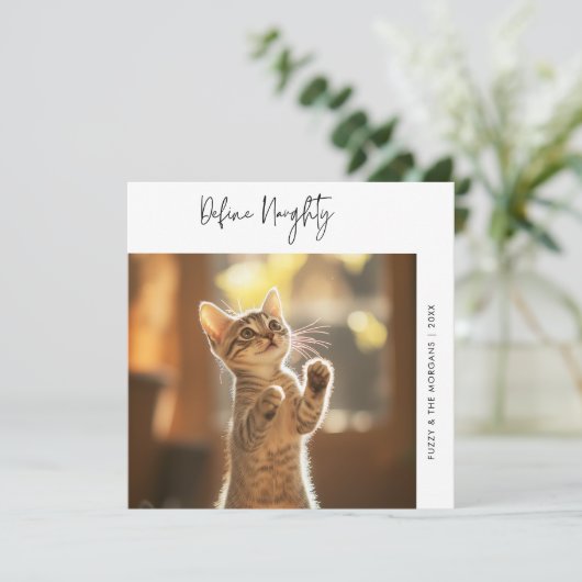 猫のおもしろい写真はクリスマスの犬のペットをいけな定義 シーズンカード (スタンド正面)