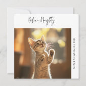 猫のおもしろい写真はクリスマスの犬のペットをいけな定義 シーズンカード (正面)