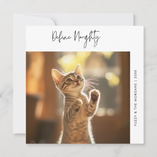 猫のおもしろい写真はクリスマスの犬のペットをいけな定義 シーズンカード (正面)