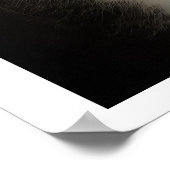 猫のおもしろい写真 ポスター (角)