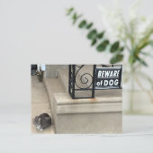 猫のおもしろい写真 ポストカード (スタンド正面)