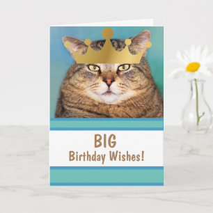 猫のおもしろい大誕生日の願い カード