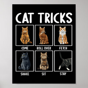 猫のおもしろい芸 ポスター