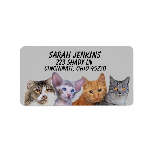 猫のかわいい猫差出人住所ラベル ラベル (正面)