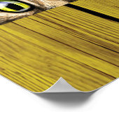 猫のぞきポスター ポスター (角)