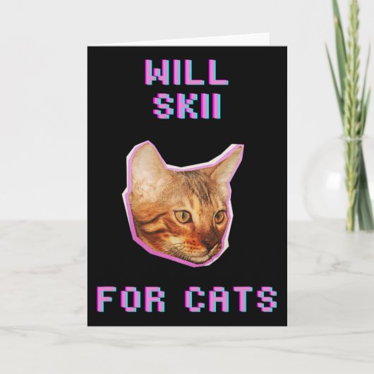 猫のためのスキー面白い冬の雪の冒険 カード (正面)