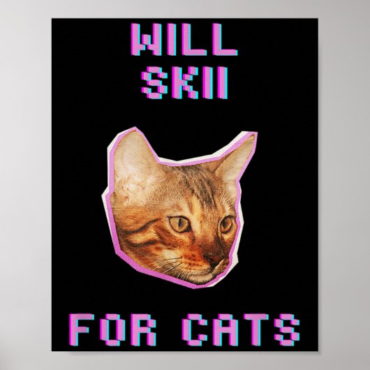 猫のためのスキー: 楽しい冬の雪の冒険 ポスター (正面)