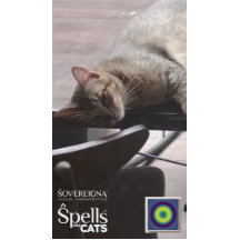 猫のための魔法:落ち着く仔猫 (リラックス)