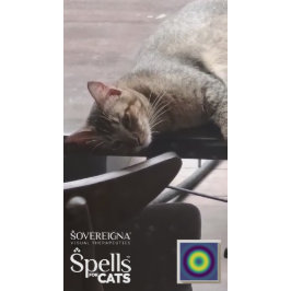猫のための魔法:落ち着く仔猫 (リラックス) シール