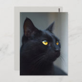 猫のはがき考えは ポストカード (正面/裏面)