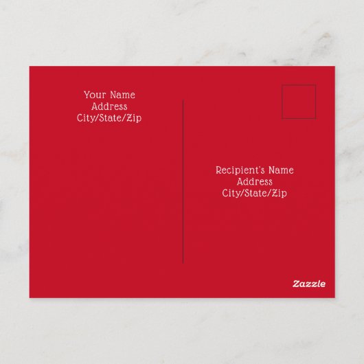 猫のように可愛転がい白犬の写真 ポストカード (裏面)