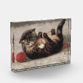 猫のわな　猫が糸玉で遊ぶ フォトブロック (左)