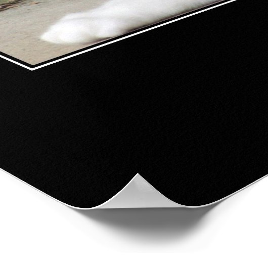 猫のアートワークを過小評価しない ポスター (角)