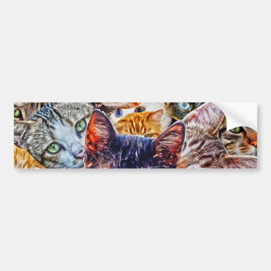 猫のアート柄 バンパーステッカー (正面)