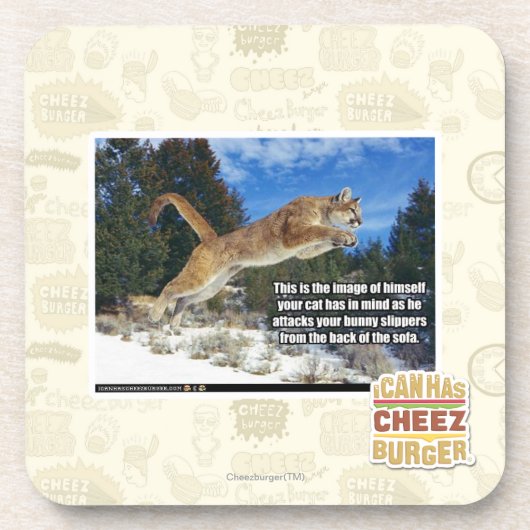 猫のイメージ コースター (正面)