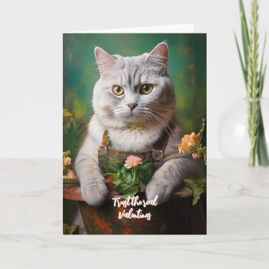 猫のイラスト シーズンカード (正面)