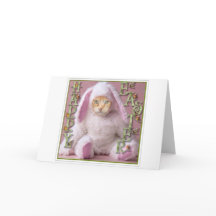 猫のイースターのウサギクロウド