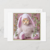 猫のイースターのウサギクロウド シーズンポストカード (正面/裏面)