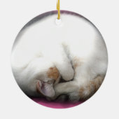 猫のオーナメントを妨げないで下さい セラミックオーナメント (裏面)