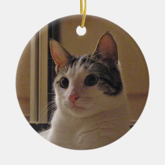 猫のオーナメント セラミックオーナメント (正面)