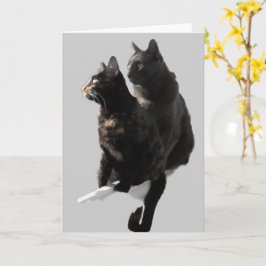 猫のカップルおめでとう カード (黄色い花)