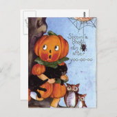 猫のカボチャの女の子 ポストカード (正面/裏面)