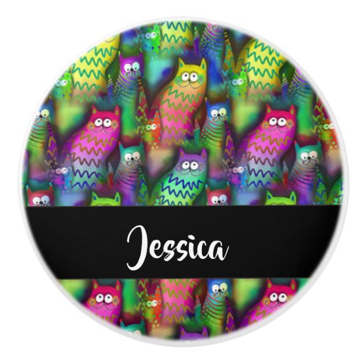 猫のカラフルグラデーション セラミックノブ (正面)