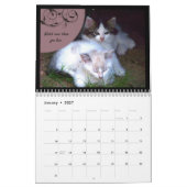 猫のカレンダーからの生命レッスン カレンダー (1月 2027)