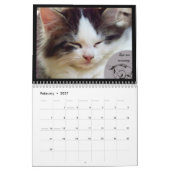 猫のカレンダーからの生命レッスン カレンダー (2月 2027)