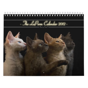 猫のカレンダー2012年 カレンダー