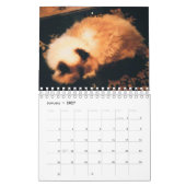 猫のカレンダー カレンダー (1月 2027)