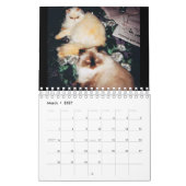 猫のカレンダー カレンダー (3月 2027)