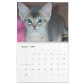 猫のカレンダー カレンダー (2月 2027)