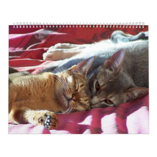 猫のカレンダー カレンダー