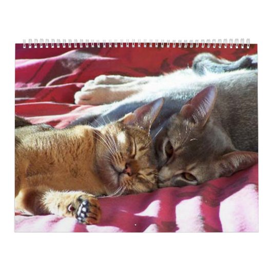 猫のカレンダー カレンダー (カバー)