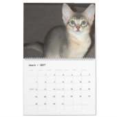 猫のカレンダー カレンダー (3月 2027)
