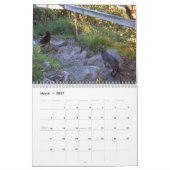 猫のカレンダー カレンダー (3月 2027)