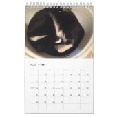 猫のカレンダー カレンダー (3月 2027)