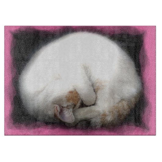 猫のガラスまな板を妨げないで下さい カッティングボード (正面)