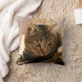 猫のギフトの枕装飾用クッション猫の写真 クッション (ブランケット)