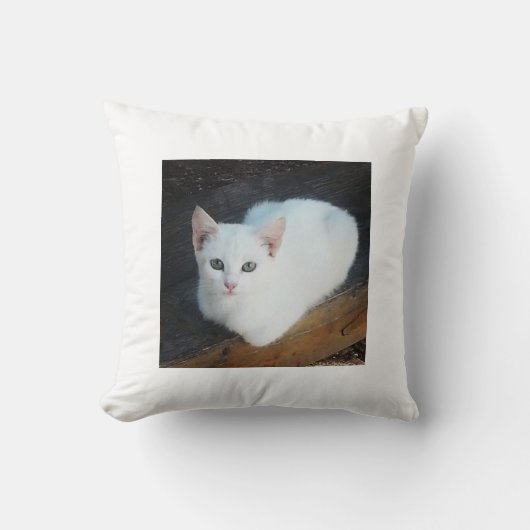 猫のクッション クッション (正面)