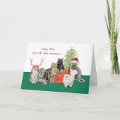 猫のクリスマスとお正月 カード (正面)