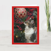 猫のクリスマスのオーナメントのおもしろいな挨拶状 シーズンカード (正面)
