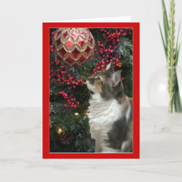 猫のクリスマスのオーナメントのおもしろいな挨拶状 シーズンカード